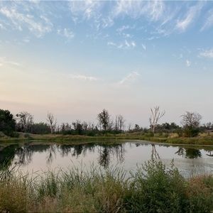 Meet your Posher, Cheyenne